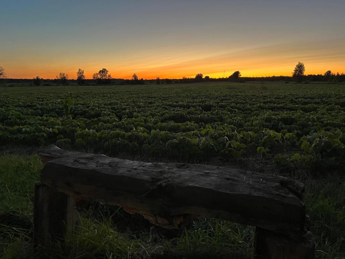 Gite - La Ruee Vers L'Orge Trois-Rivières Zewnętrze zdjęcie