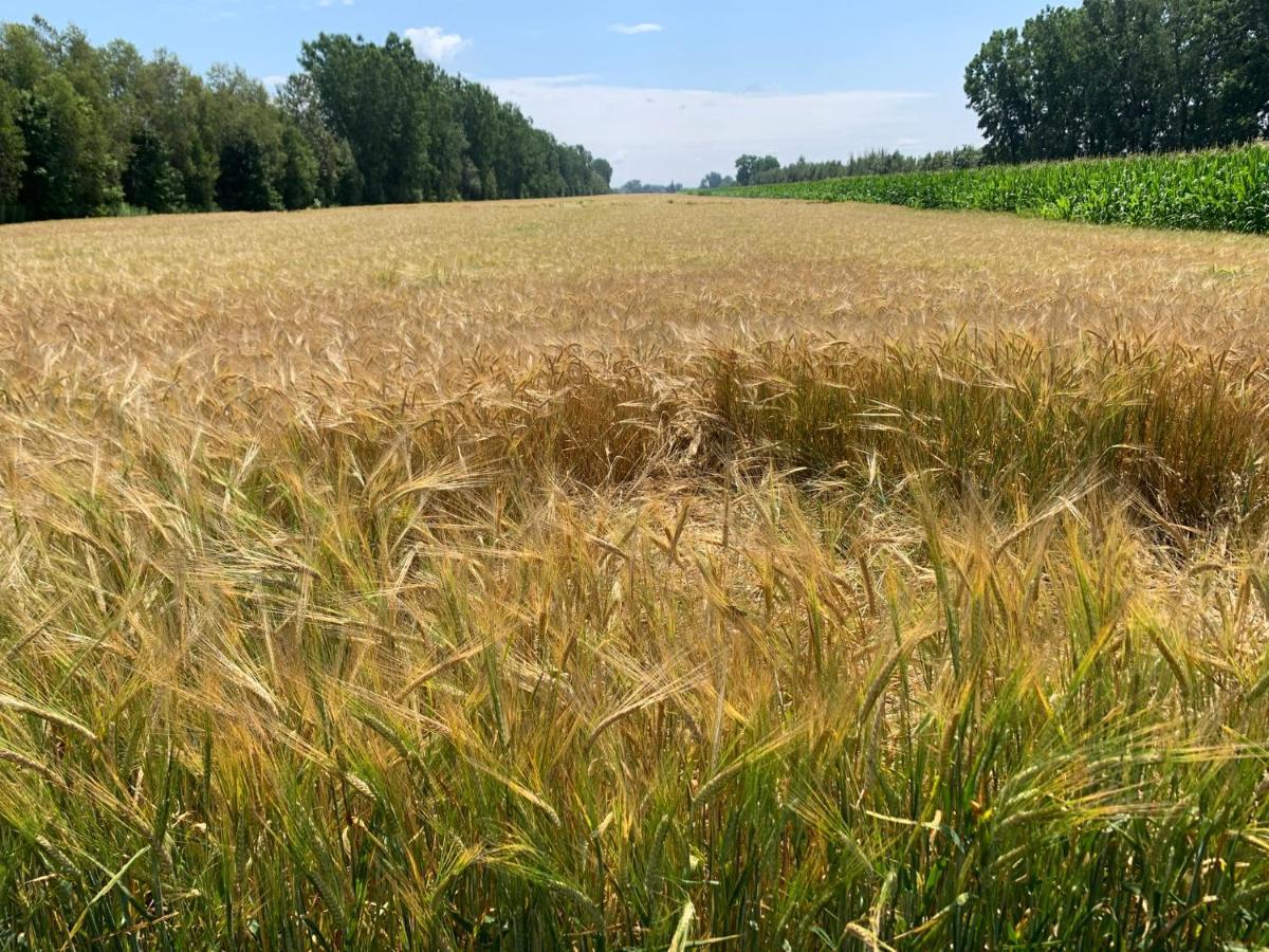 Gite - La Ruee Vers L'Orge Trois-Rivières Zewnętrze zdjęcie